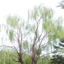 한강 암사역사공원~구리암사대교~바위절터~고덕수변생태공원 종주 이미지