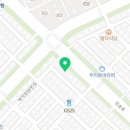 요미독 강아지분양 요미캣 고양이분양 목동점 이미지