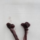 문정탑동물병원 이미지