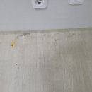 가호브리즈 이미지