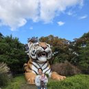 또복이도시락 이미지