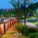 오산시, 원1저수지 경관조명 설치 완료…야간 명소 조성 기대 이미지