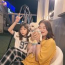 저 넓은 하늘처럼 푸르던 6월의 마무리,