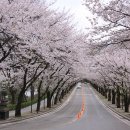 희원 이미지