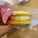 바나프레소 유자마카롱, 말차초코마카롱(내돈내산 솔직후기)