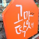 고망딱새 이미지