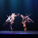 동춘서커스 공연장 이미지