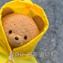 옴뿌리산근린공원 농구장 | [8월로그] 찬란했던 그때의 공기, 또 새파란 하늘🌀