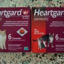 메디팜고성왕약국 이미지