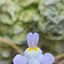 금창초교 이미지