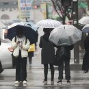 그냥 심심해서요. (21231) 어린이날 강한 비바람 이미지