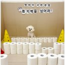 부산애견호텔 강아지 유치원 맘바이 서면본점 이미지