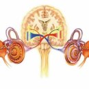 스타키보청기 목동센터 이미지