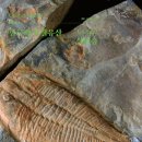 지질자원연구원 지질박물관 | 돌과 친해지는 법 - 이승배 박사님 <라거슈타트 人>