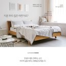 블랑도어