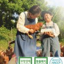 꼬꼬퀸즈 이미지