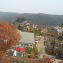 허브여행사주 - 제주시 신대로 124 | 허브여행사주