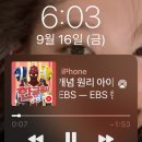 찐찐찌니야