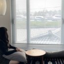 스테이시호일 이미지