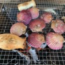 (구)강화대교 화장실 | 강화 캠핑파크 서울 근교 글램핑 소풍 감성 카라반 캠핑장 당일치기 이용후기