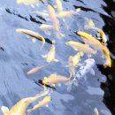 유엔기념공원주차장 이미지