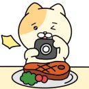 오션참치 이미지