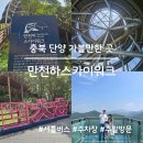 만천하스카이워크 주차장 | 충북 단양 가볼 만한 곳, 만천하스카이워크(주말 방문, 주차장)