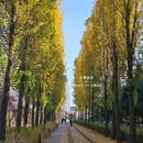 경춘선숲길(도깨비시장 앞) 이미지