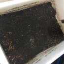 영천별빛굼벵이농장 이미지