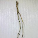 솜씨방 이미지