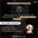 하나동물종합병원 이미지