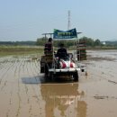 평화농장(2) 이미지