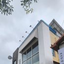 아낙203 티스토리