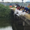 목천포천 이미지