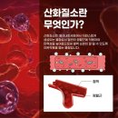 팀디토