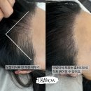 오즈헤어라인 - 서초구 사평대로 285 | 오즈헤어라인