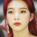 키노포스트