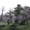 한라산석유 이미지