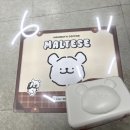 매머드익스프레스부산초량 | [매머드익스프레스 커피] 프리퀀시 몰티즈 레디백 수령후기