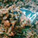 청주대구뽈찜아구찜전문 이미지