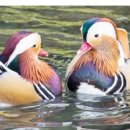 에버그린 데이케어센터 이미지