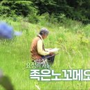 오늘 숲에는 [족은노꼬메오름 숲] KBS제주 240702방송 이미지