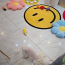 이코그루밍 이미지