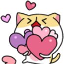 밸리러브 이미지