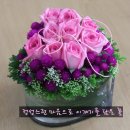 천일홍 유리화기 어렌지-수원꽁집,영통구꽃배달,매탄동꽃집 이미지
