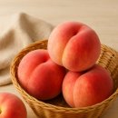 행복나무 요양원 이미지