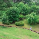 지곡초교 삼거리 이미지