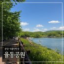 율동공원 | 분당 가볼만한곳 ‘율동공원’ 산책후기 (주차정보 포함)