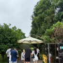 보리민박 | 제주 이효리집 효리네민박 촬영지 소품샵 &#39;소길별하&#39; 주차·이용꿀팁