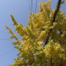 케익하우스밀레 | 와쓰인마이블로구 11 | 요리하고 놀고먹고 퇴사한 일상로구🍀